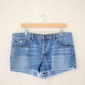 Urban Outfitters BDG Boyfriend Shorts